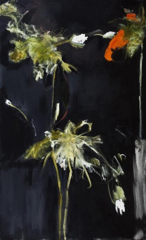 Farideh Lashai Foliage in Darkness series (red flower), 2007
